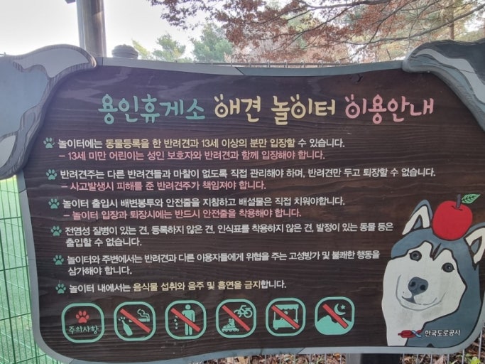 고속도로별 애견 놀이터 휴게소 총정리: 댕댕이와 함께하는 즐거운 휴식! 관련 사진