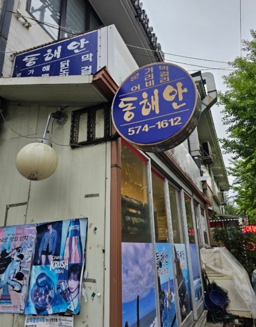 강원-삼척-동해안-문어숙회-골뱅이숙회
