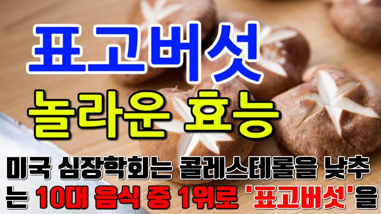 표고버섯 효능_2