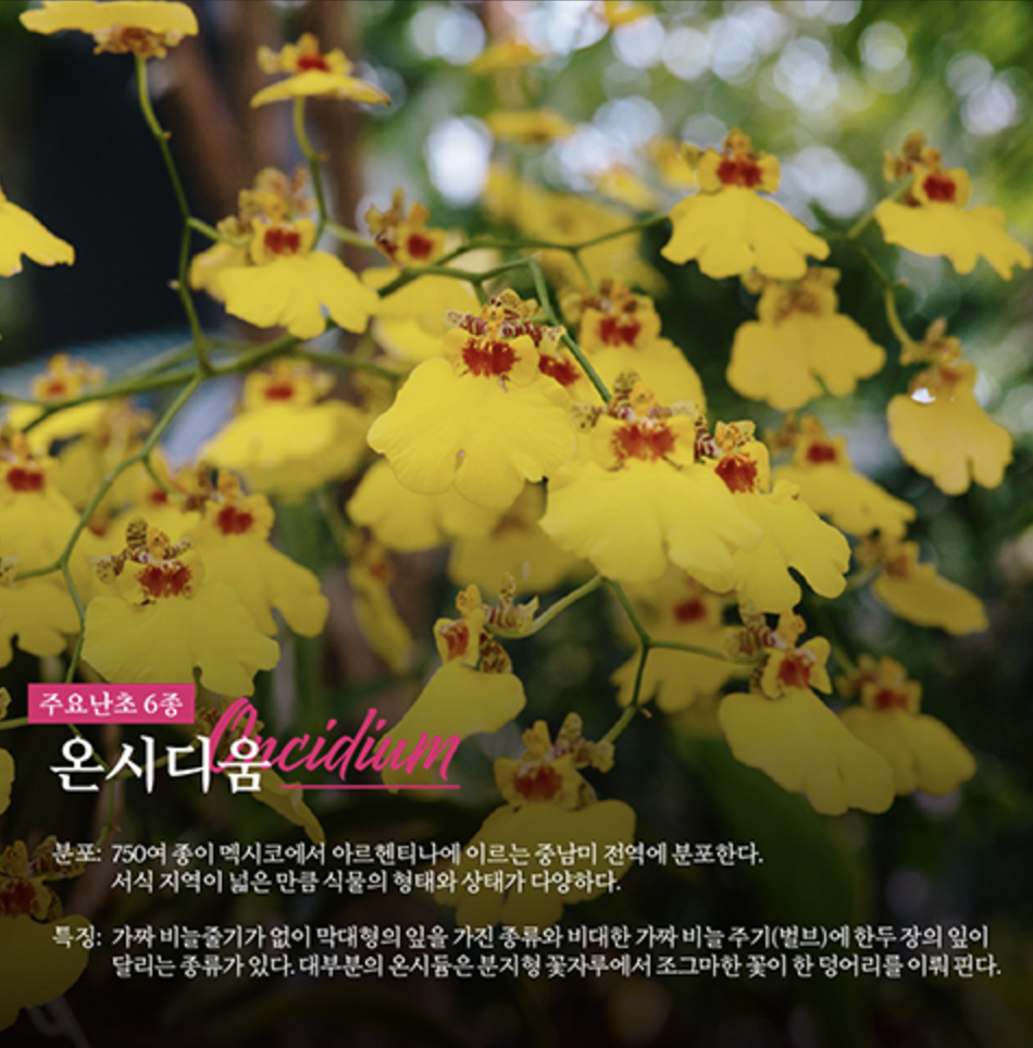 서울 식물원