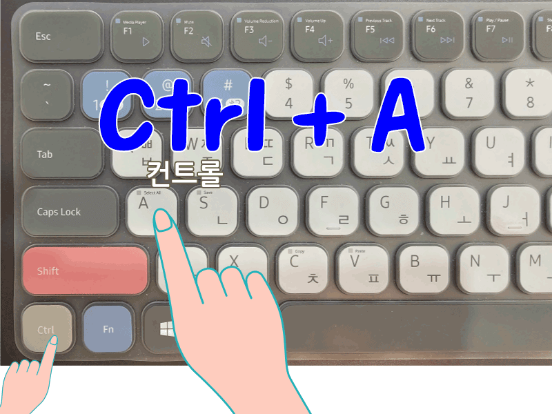 전체선택 단축키