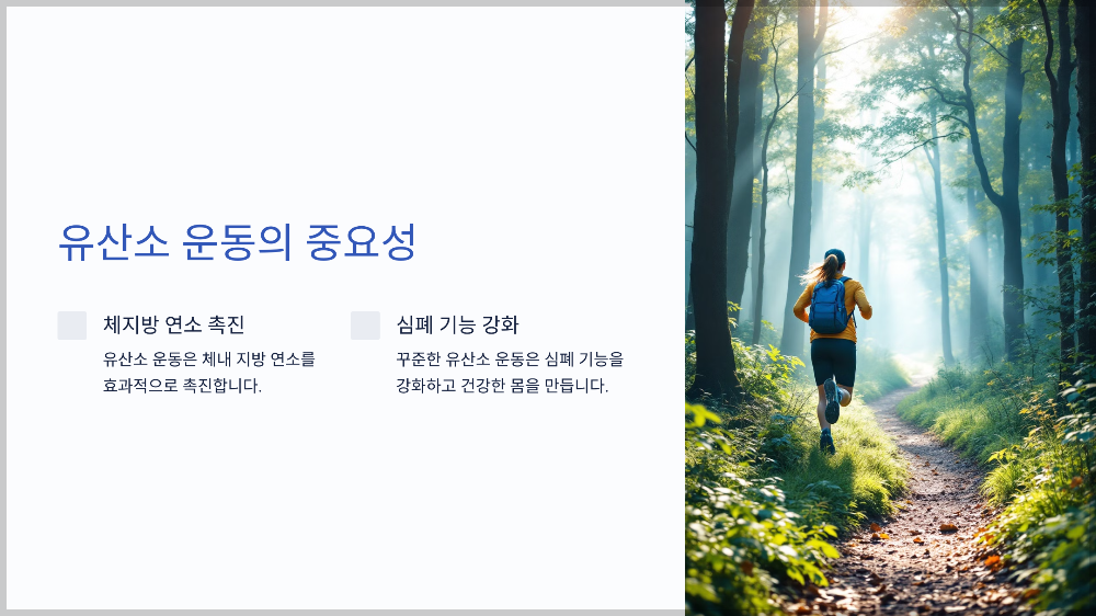 다이어트 운동 효과적인 방법