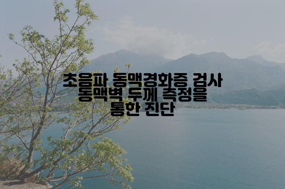 초음파 동맥경화증 검사 동맥벽 두께 측정을 통한 진단