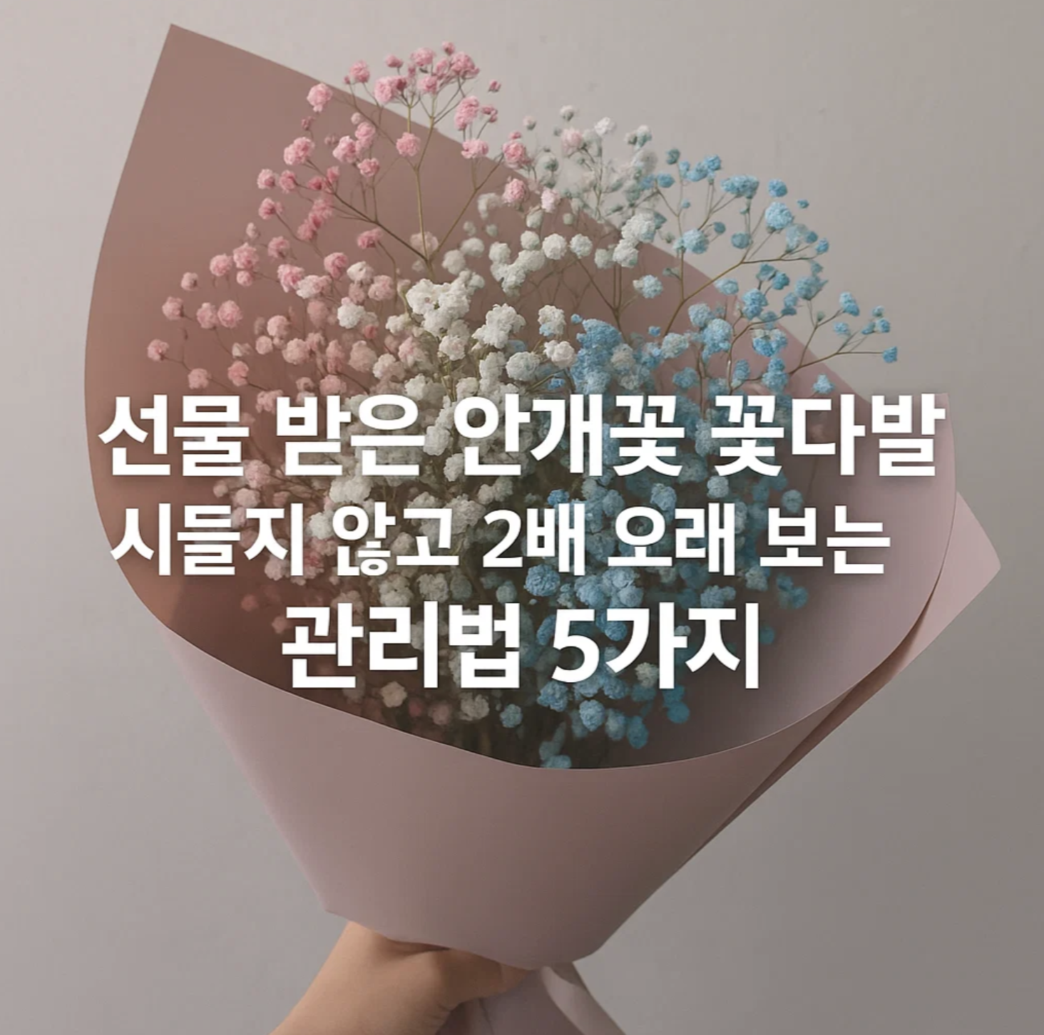 선물 받은 안개꽃 꽃다발, 시들지 않고 2배 오래 보는 관리법 5가지