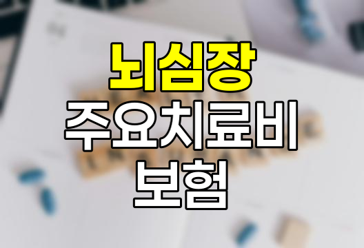 뇌심장 주요치료비 보험의 필요성과 장점