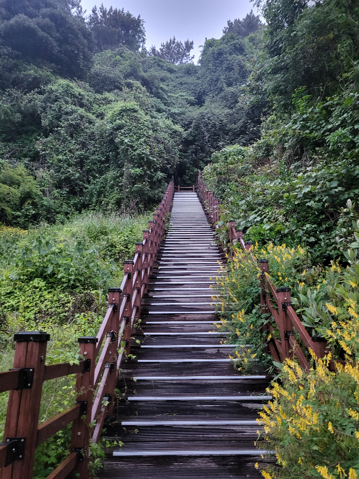 파르나스 호텔에서 산책길을 걷다 중간에 나오는 데크길