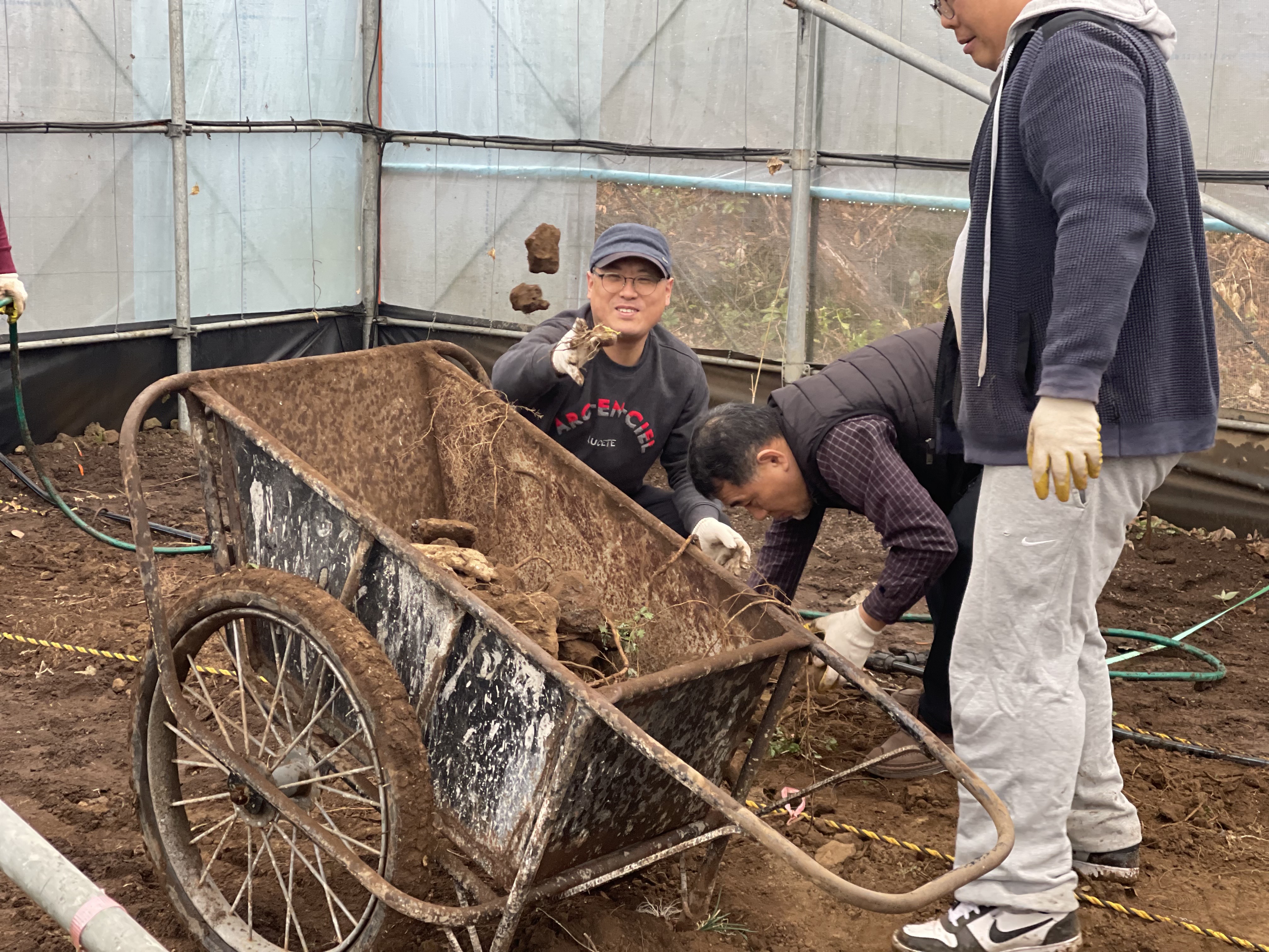 돌 나르는 사진