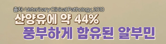 산양유 단백질 효능