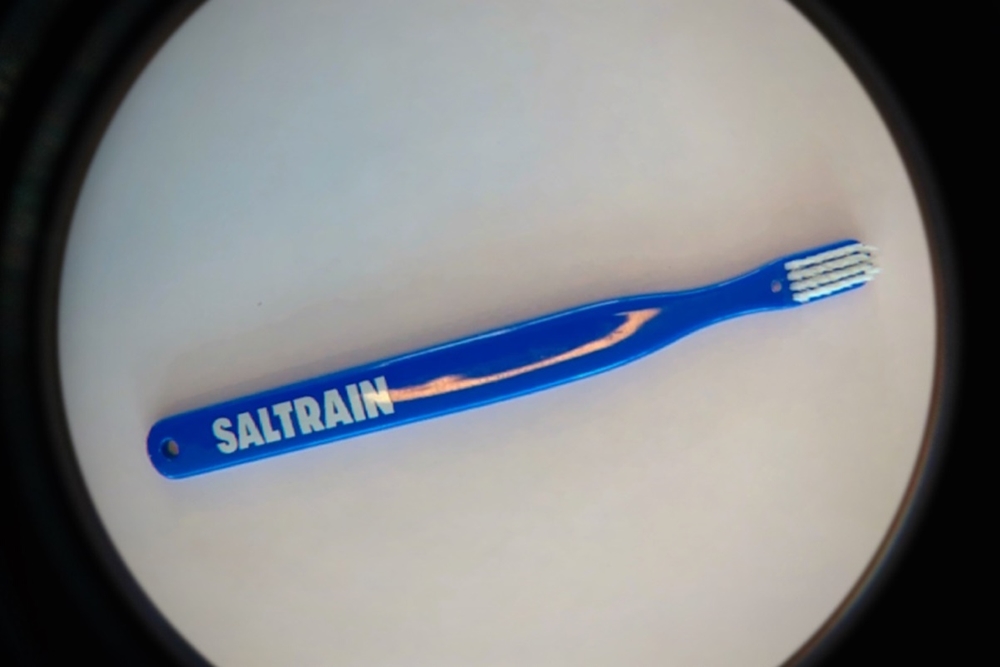 소금 치약 추천 후기 : 솔트레인 투스페이스트 가격 정보