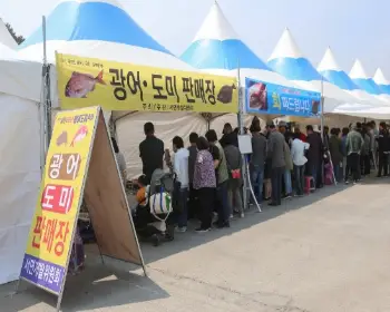 서천 자연산 광어 도미축제_20