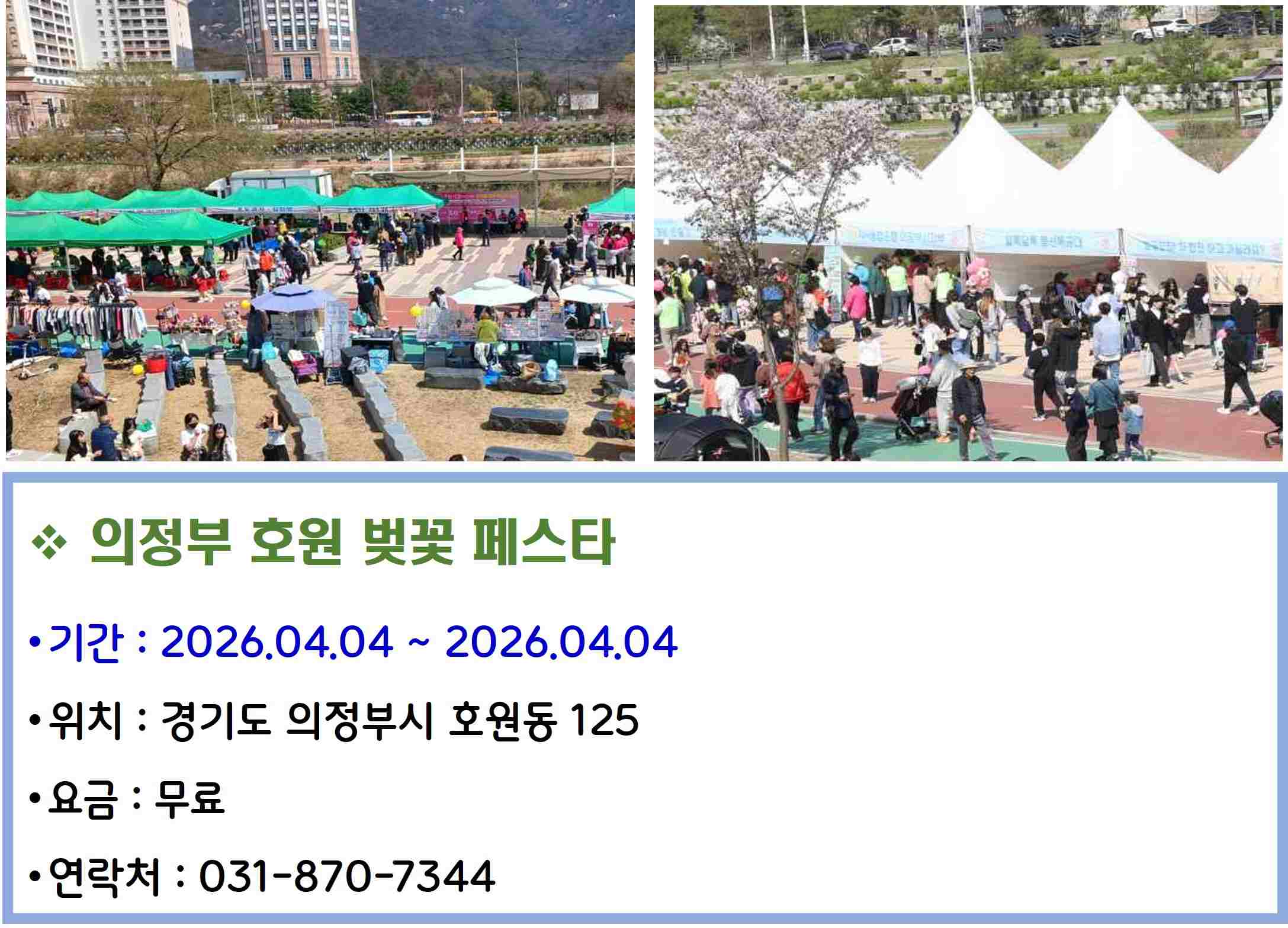 의정부 호원 벚꽃 페스타