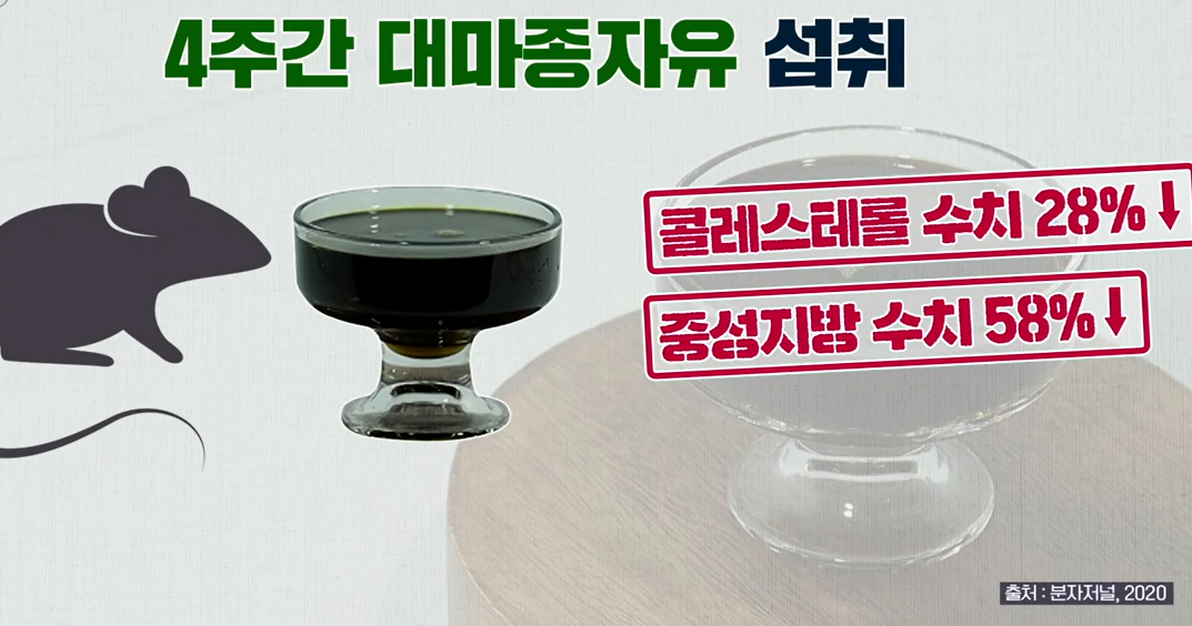 대마종자유 효능