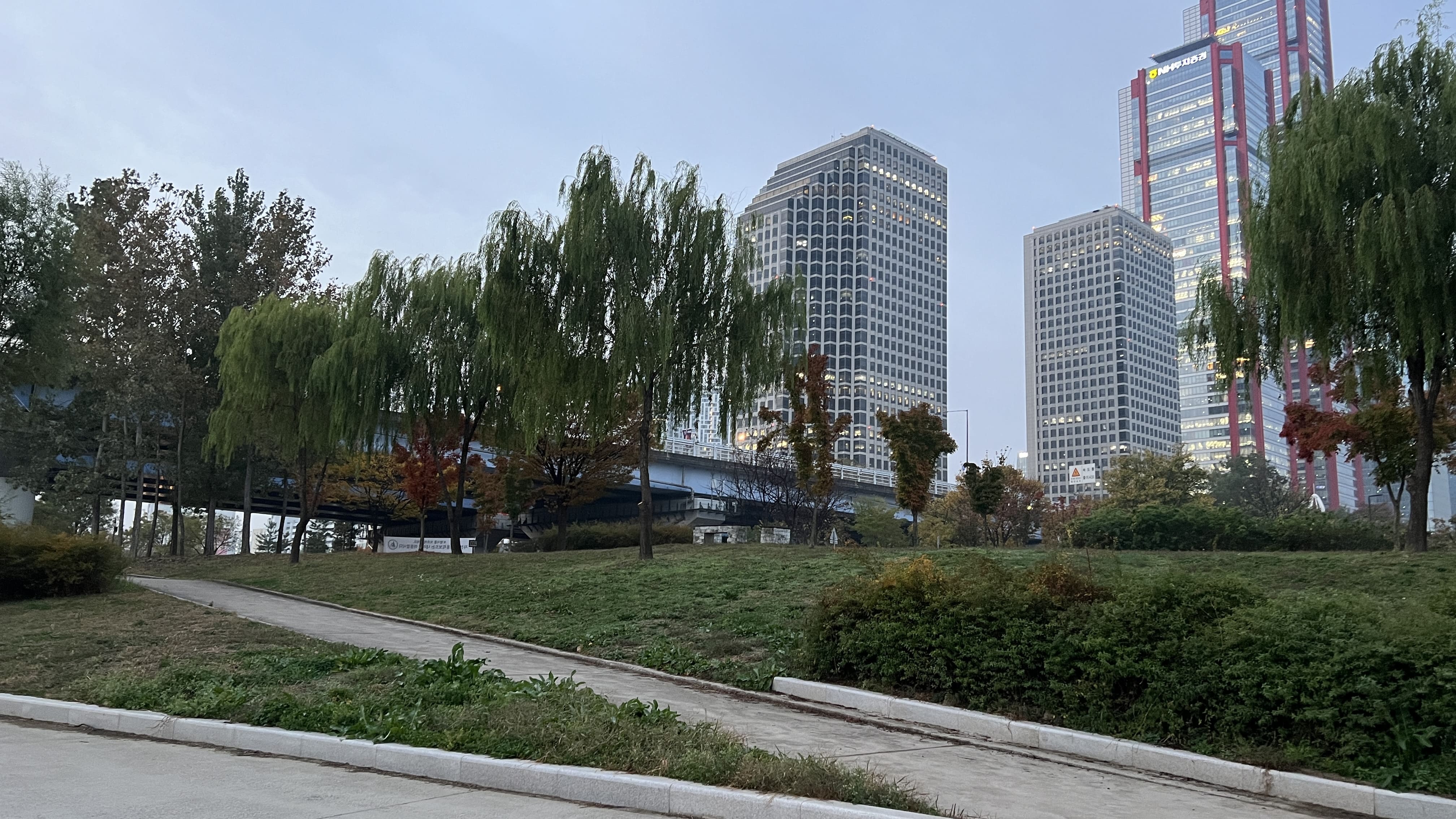 여의도 한강공원