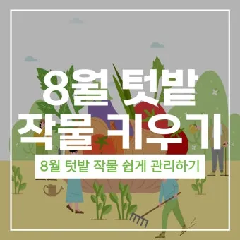8월에 심는 밭작물 모종 채소 재배법 알아보기_19