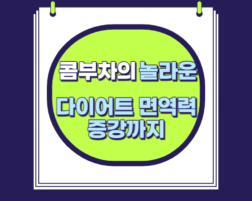 콤부차의 놀라운 효능들 : 다이어트부터 면역력 증강까지