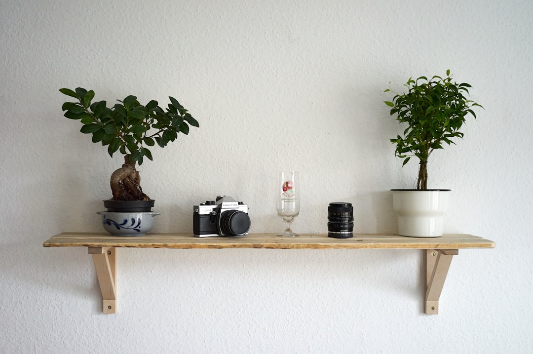 Shelf (또는 Shelves)