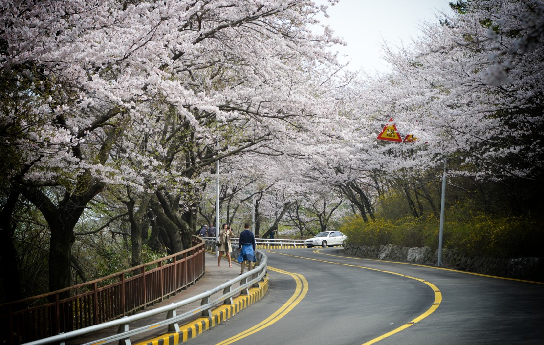 해운대 달맞이길