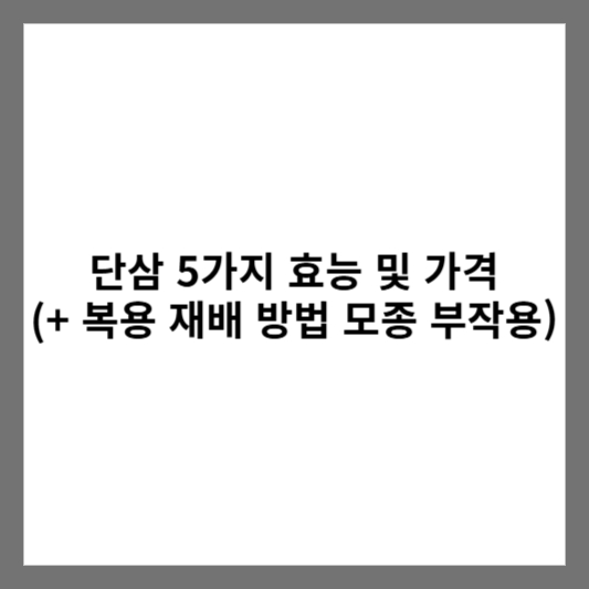 단삼 5가지 효능 및 가격 (+ 복용 재배 방법 모종 부작용)