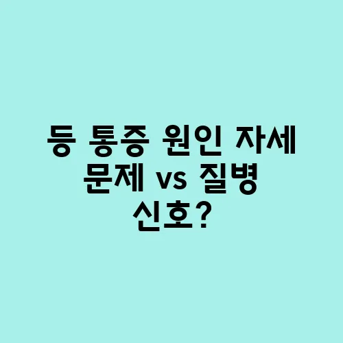 등 통증 원인 자세 문제 vs 질병 신호?
