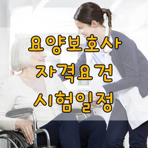 요양 보호사 응시 자격&#44; 자격증 종류&#44; 시험일정&#44; 요양보호사 총정리!
