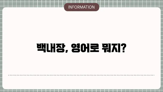 백내장 치료법