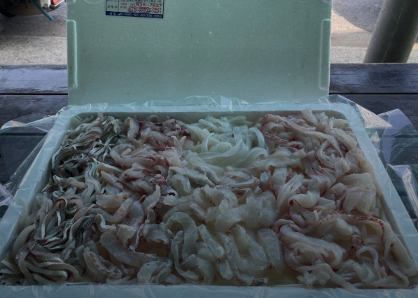 한국기행 고흥 무한리필 횟집 1인 35000원 무제한 자연산 회오마카세 맛있으니섬이다