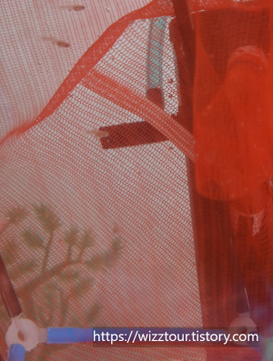 구피 치어 분리망 만들기