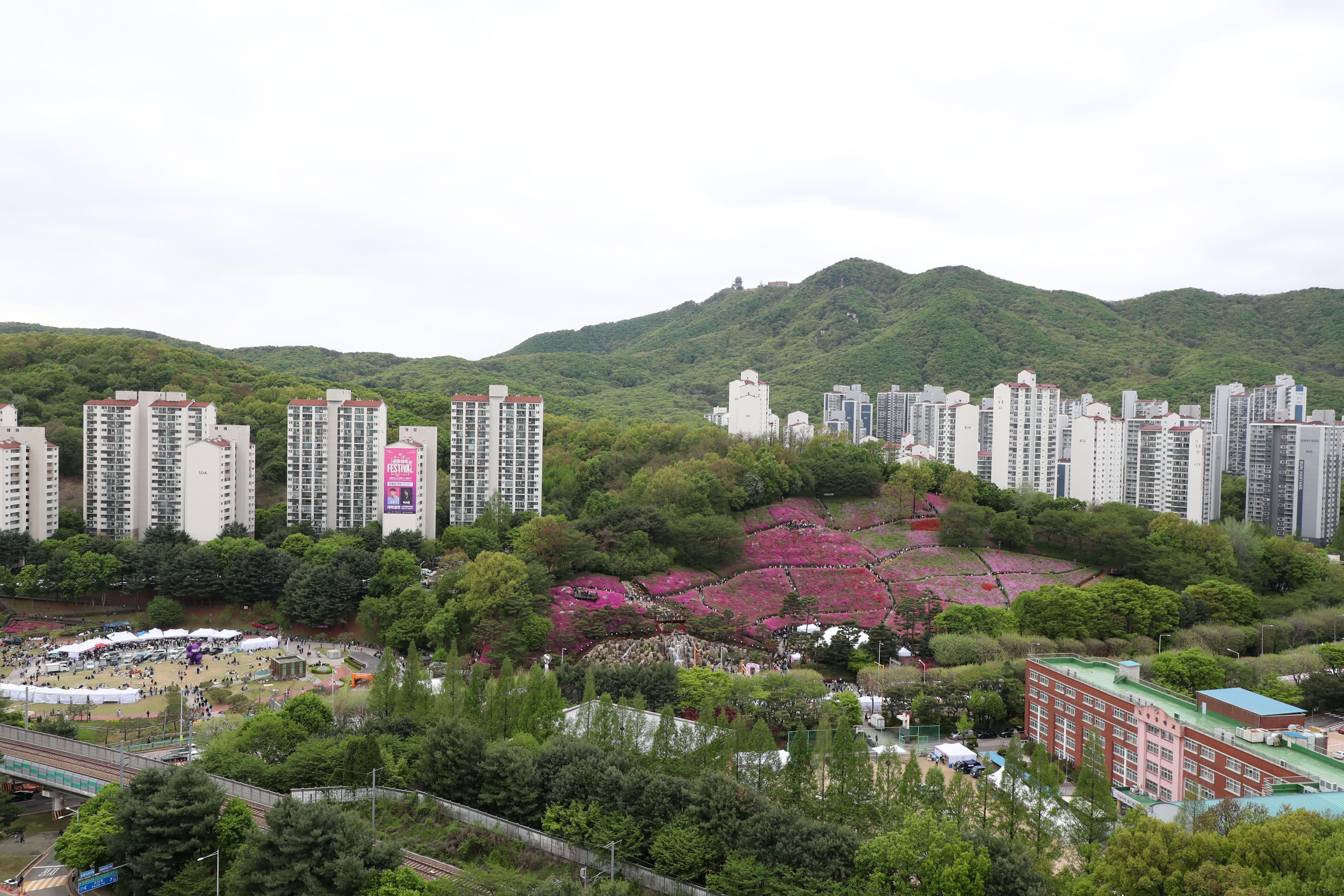 군포 철쭉 축제