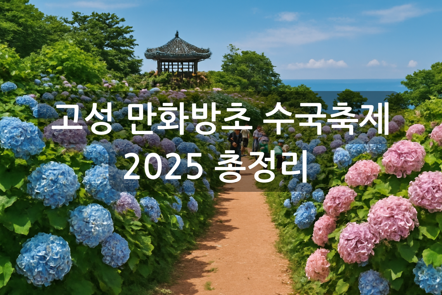 고성 만화방초 수국축제 2025 총정리 입장료부터 개화시기까지, 꼭 가봐야 할 수국 명소