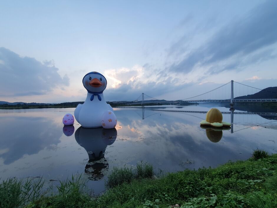 늦가을 감성여행 추천, 상주 경천섬 갈대밭 & 물안개 산책코스
