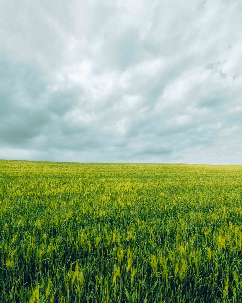 넓은들 학원농장 홈페이지