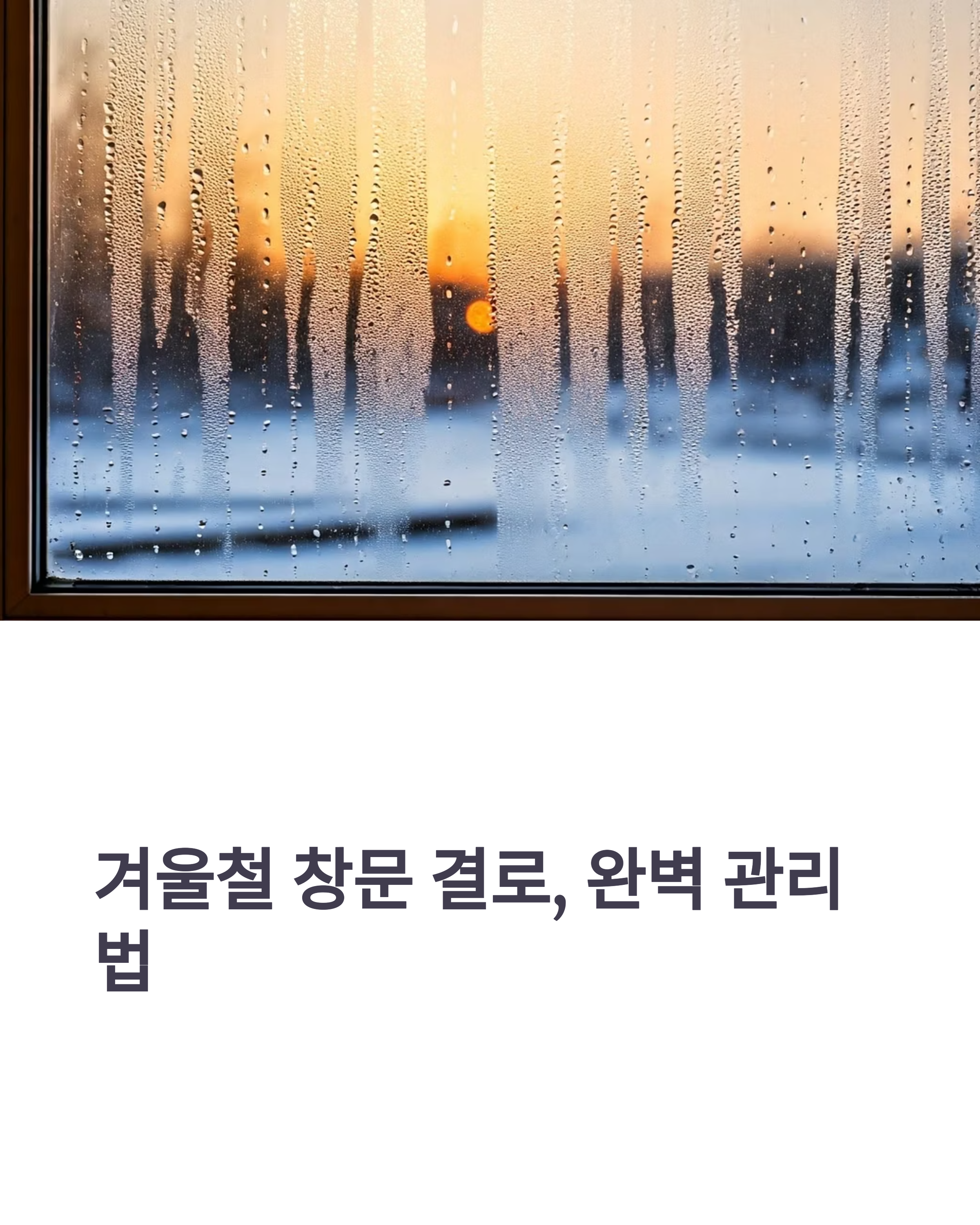 겨울철 창문 결로 완벽 관리법