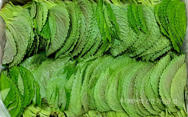 싱싱한-깻잎-1kg-1박스