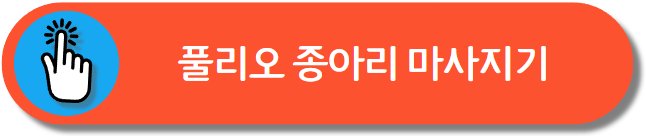 풀리오 종아리 마사지기