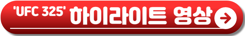 UFC 325