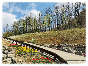 고대산자연휴양림