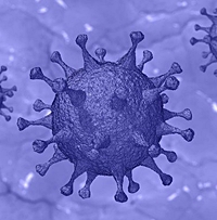 코로나 바이러스