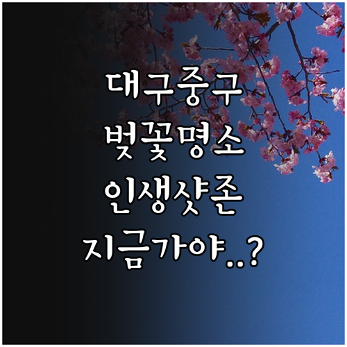 대구 중구 벚꽃 인생샷 명소와 방문 ..