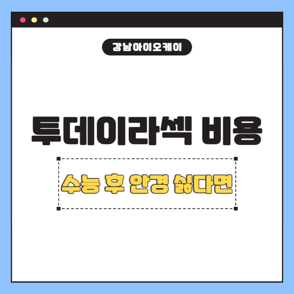 투데이라섹비용