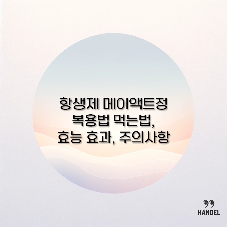 메이액트정