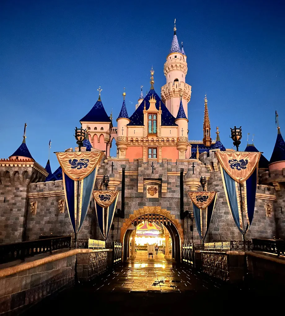 디즈니랜드 관련사진