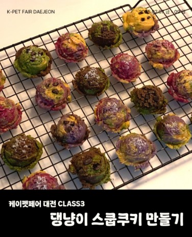 2025 케이펫페어 대전 무료입장 체험클래스 신청