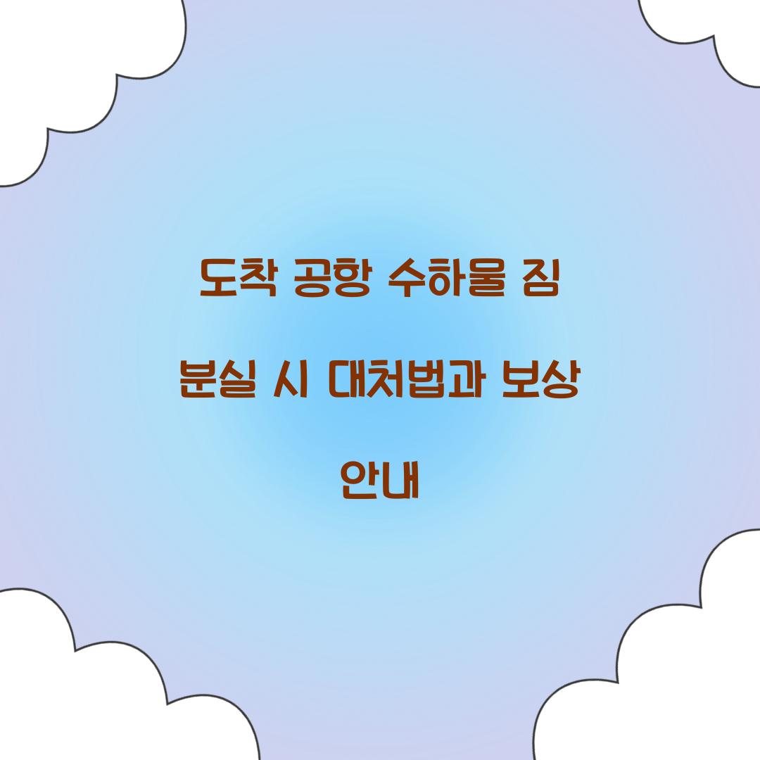 도착 공항 수하물 짐 분실