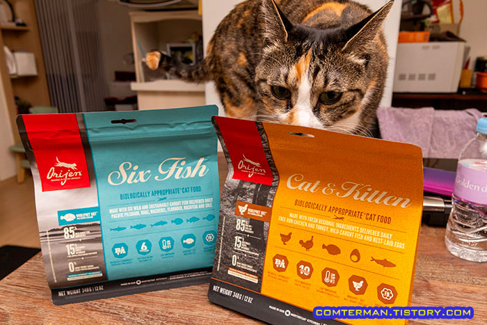 오리젠 식스피쉬 고양이 사료