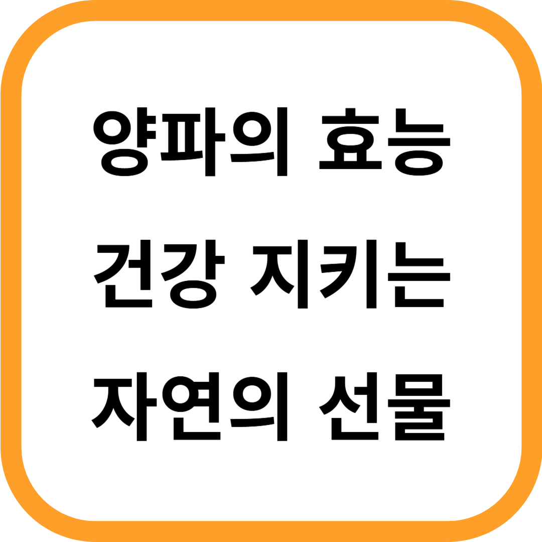 양파의 효능