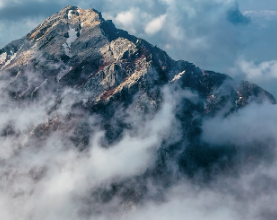일본-입국-비지트-재팬