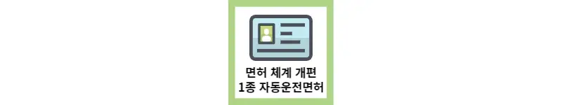 면허 운전체계 개편 1종 자동면허