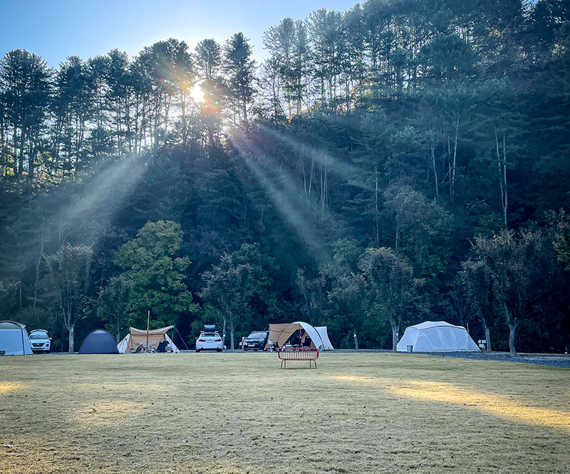가평군 캠프올모 캠핑장 소개