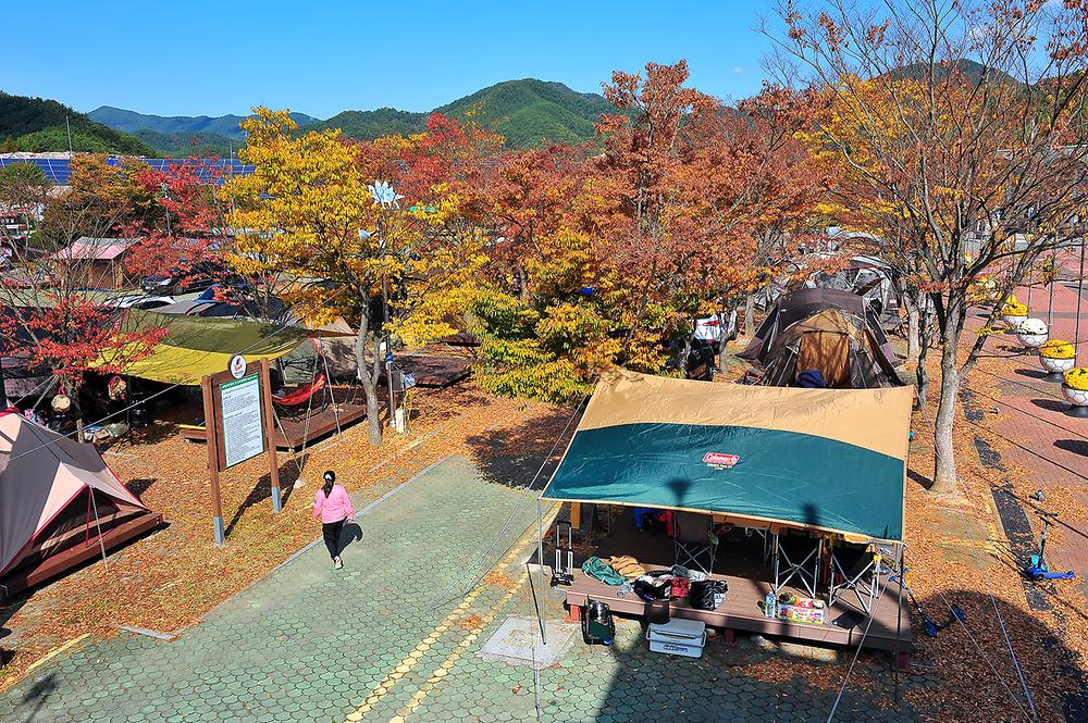 고성군 당항포관광지 오토캠핑장 소개