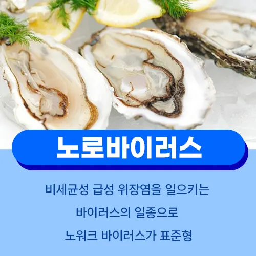 굴 노로바이러스